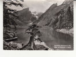 Seealpsee 1961