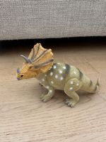 Triceratops Dinosaurier