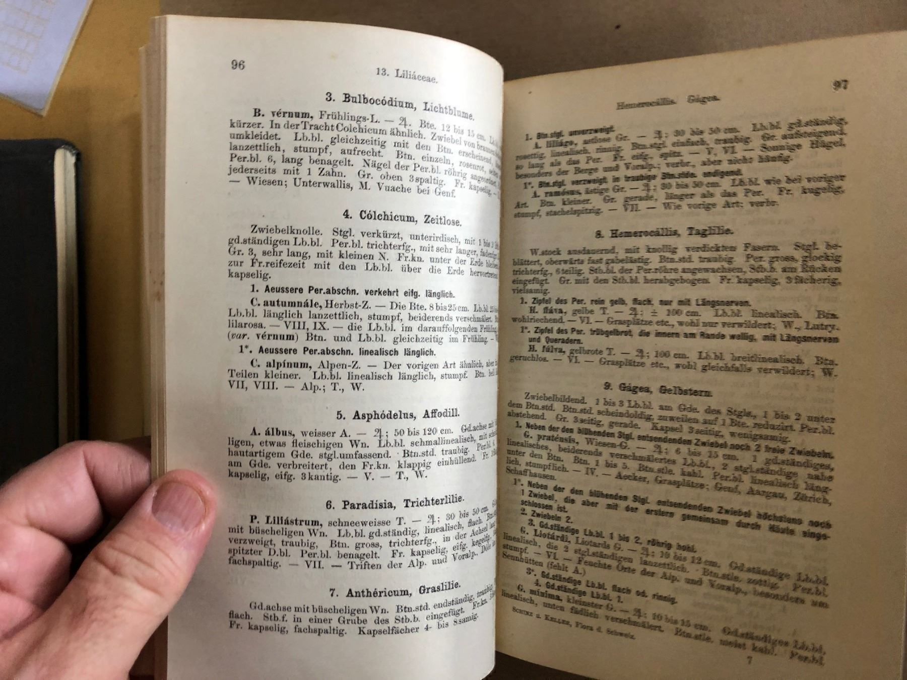 Bücher: H. Schinz/R. Keller: Flora der Schweiz – Gebraucht aus Zürich von allp 4