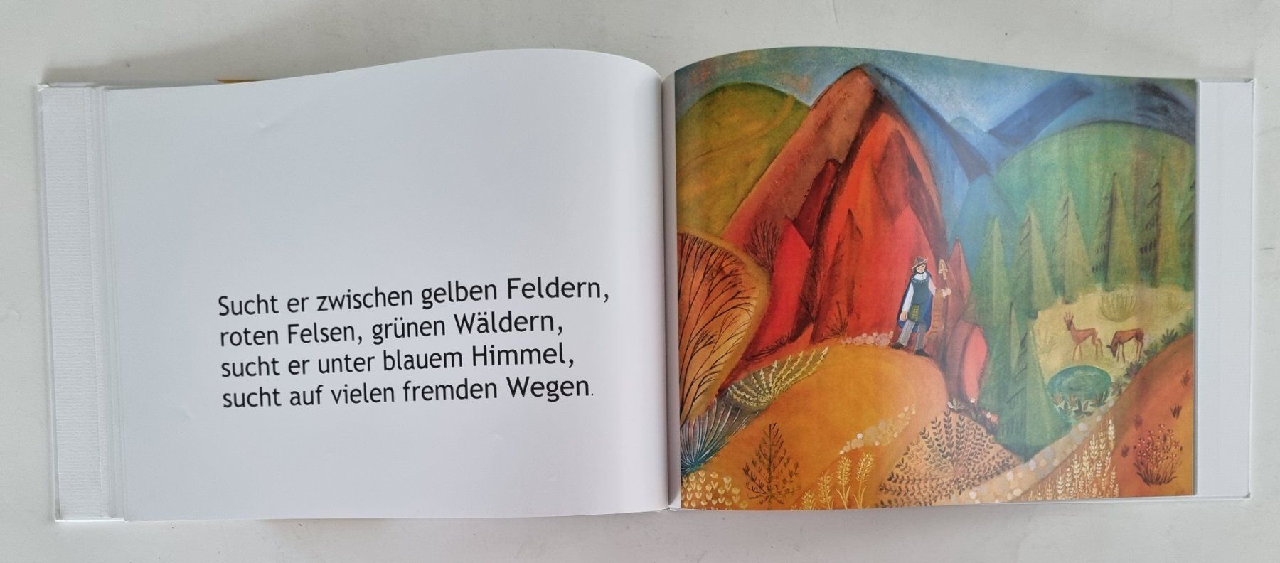 Libri: "Der Schäfer"  Kinderbuch – Usato da Opfikon venduto da Diversamente 4