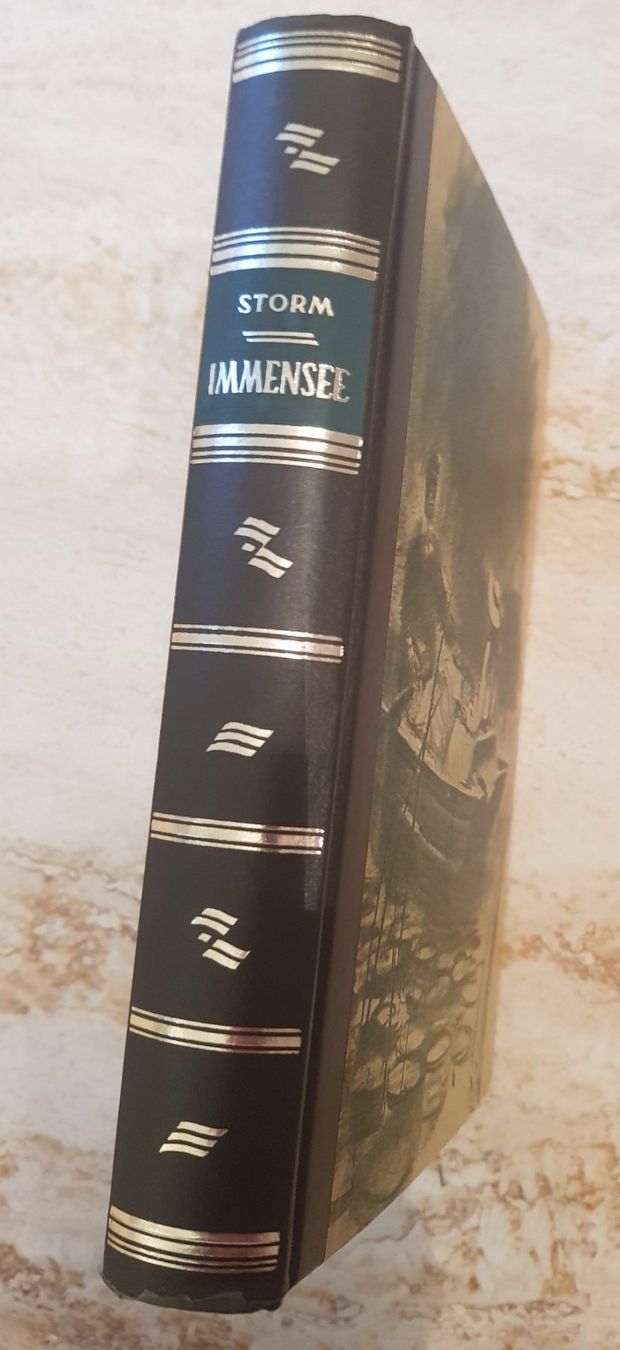 Libri: Theodor Storm "Immensee" – Nuovo (secondo la descrizione) da Winterthur venduto da Joschko