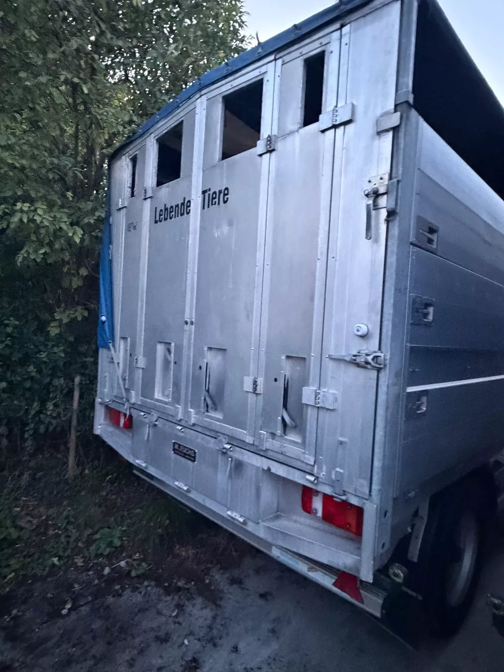 Nutzfahrzeuge: Fuchs 18 T 2 E L – Gebraucht aus Hünenberg von off_xr8d 3
