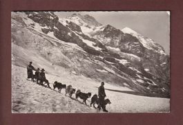 EIGERGLETSCHER - Polarhunde und Jungfrau - 1936