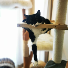 Profile image of Poppy92