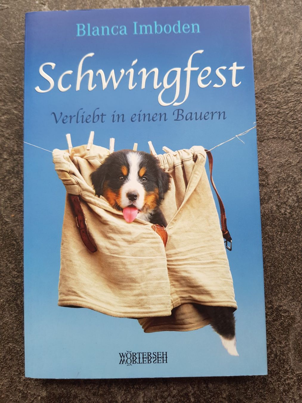 Libri: Schwingfest / Blanca Imboden/ Schweizer Roman – Usato da Dietikon venduto da marconi07