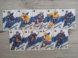 Komplettes Playoff Set Davos
