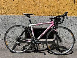 Rennvelo Colnago Arte, Top Zustand, wenig benutzt!