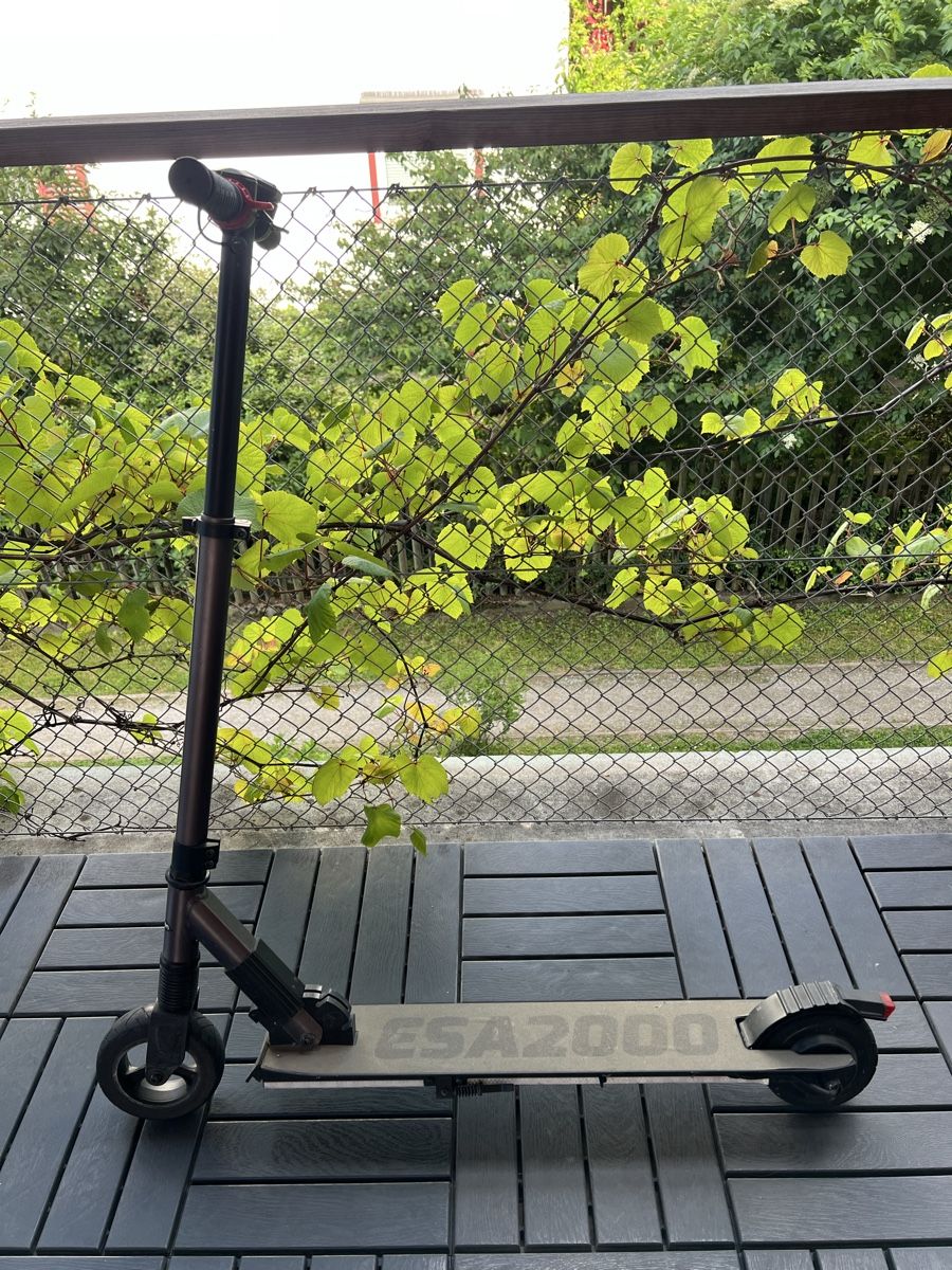 Scooter: E-Scooter ESA 2000 ab 1 CHF – Difettoso da Zürich venduto da Leo_wyn