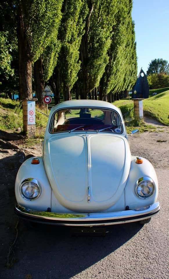 VW Autos: VW coccinelle 11-1302 1971 – Gebraucht aus Bossonnens von Hdeff 3