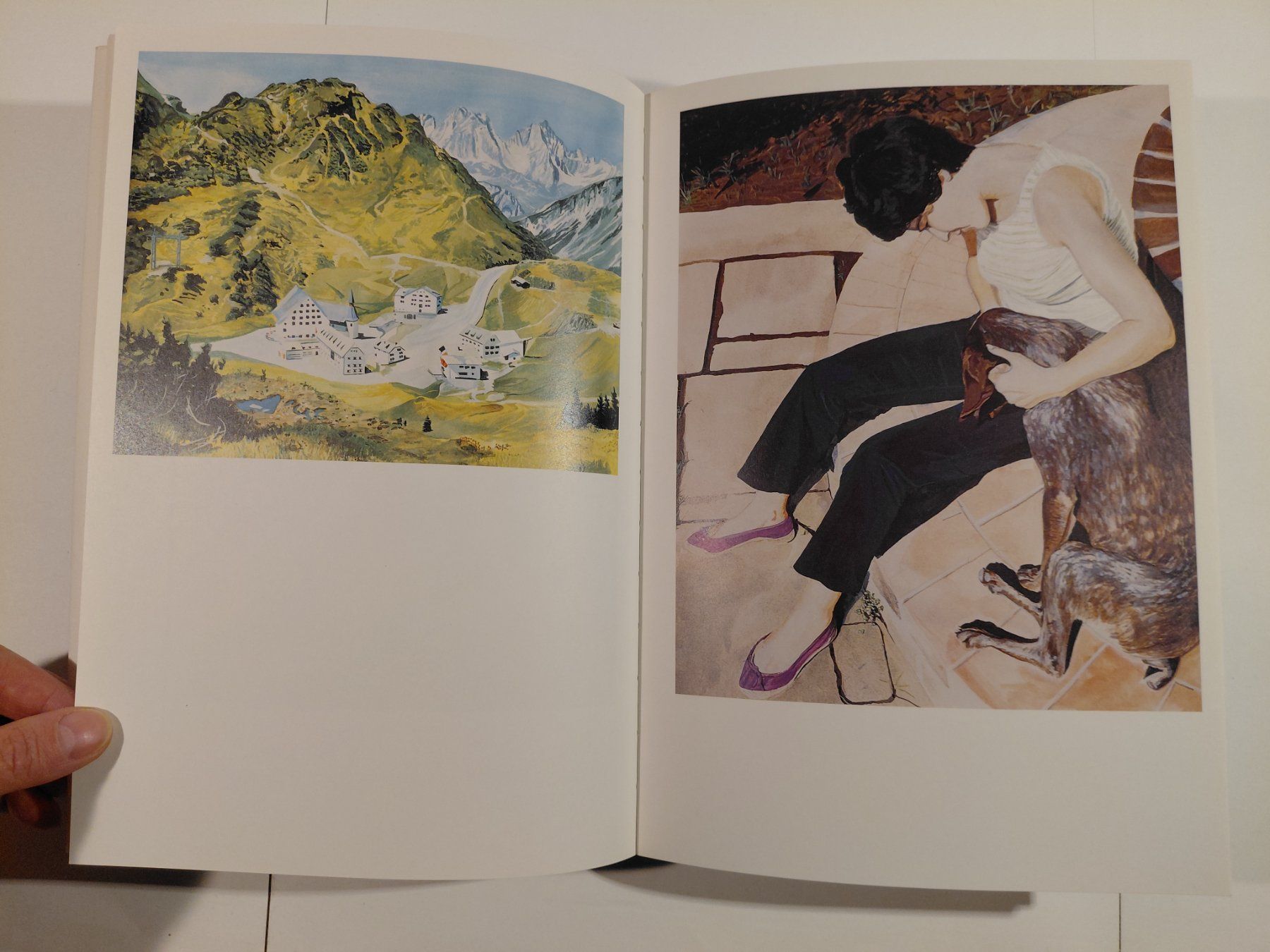 Libri: Delphine Courtillot - Bart van der Heide – Usato da Winterthur venduto da SilverFR 2