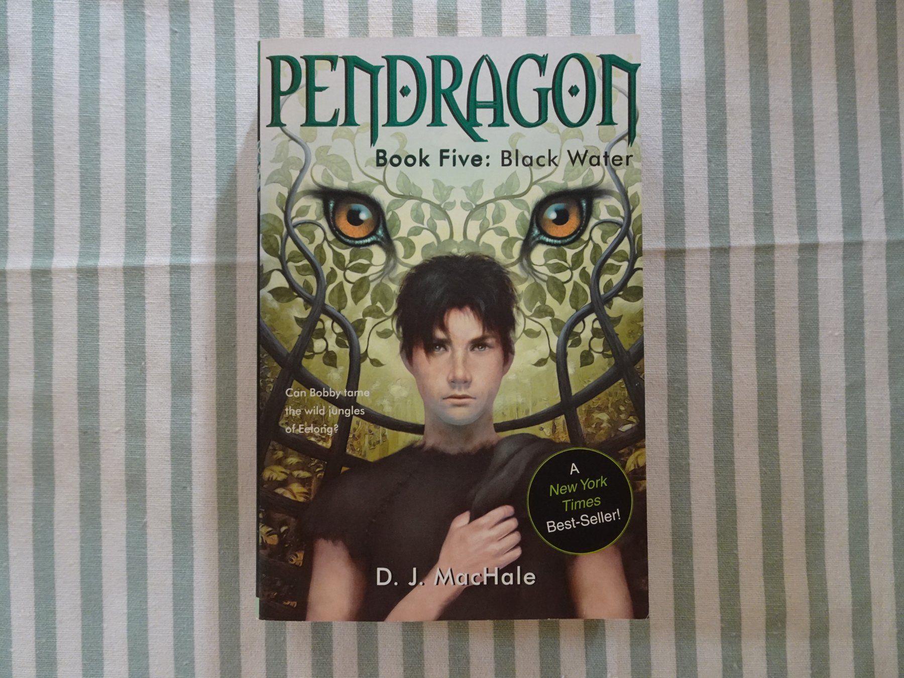 Bücher: Pendragon - Book Five - Black Water - Englisch - B1005 – Gebraucht aus Küssnacht am Rigi von Bookslove-Divers