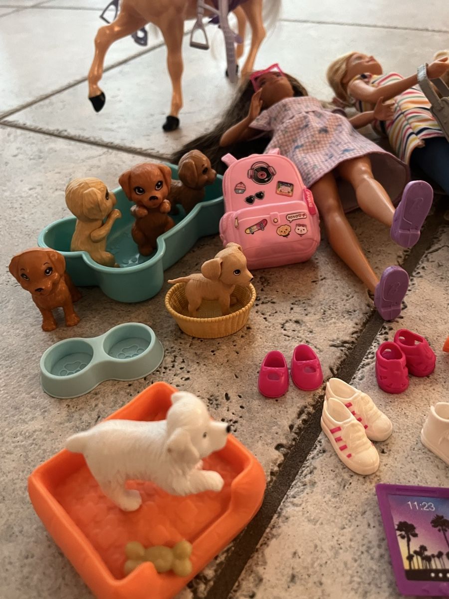 Giocattoli: Grosses Barbiepaket – Usato da Suhr venduto da rugeli02 3