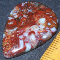Cabochon L-3423 – Palmwurzel Achat 28x20mm
