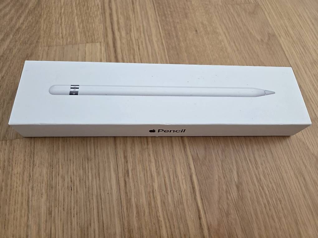 Apple Tablet PC: Apple Pencil – Gebraucht aus Zürich von nina46 1