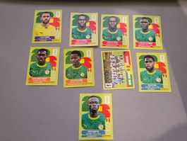 Sammlung Panini Fussball WM 2026 Sticker Senegal