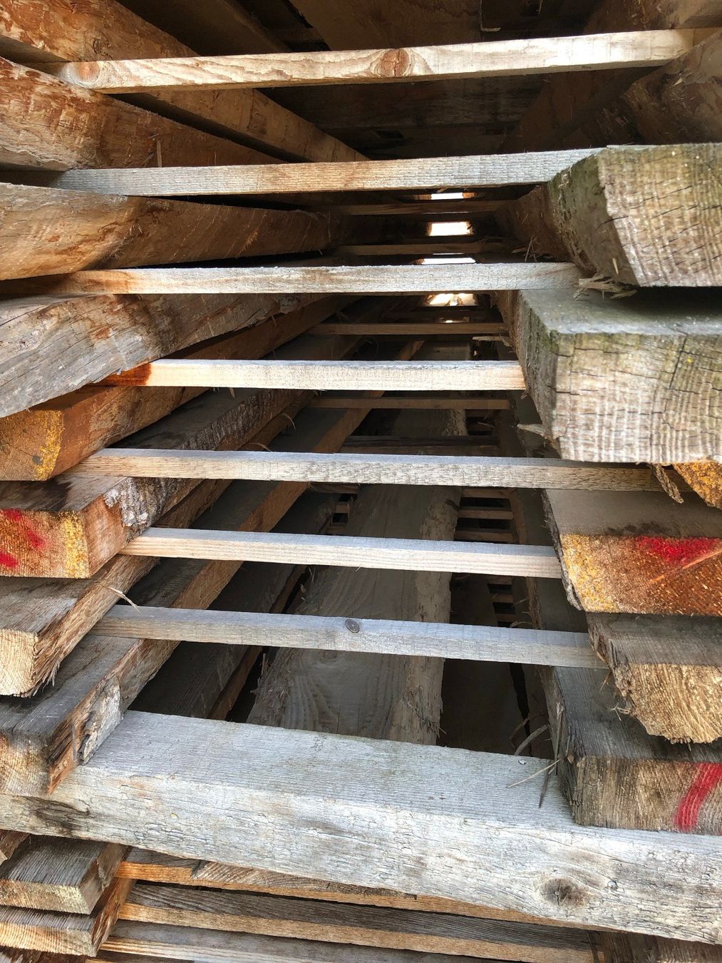 Articoli in legno: Klotzbretter – Nuovo (secondo la descrizione) da Hochdorf venduto da Sifrag 2
