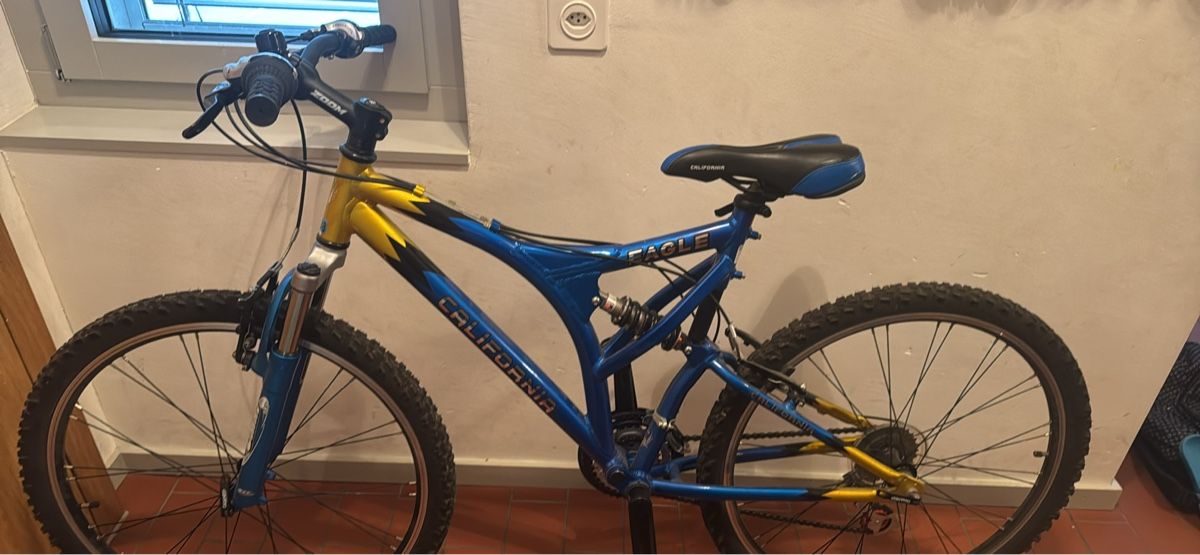 Velos: Velo California – Neu (gemäss Beschreibung) aus Zürich von Menyar1982 2