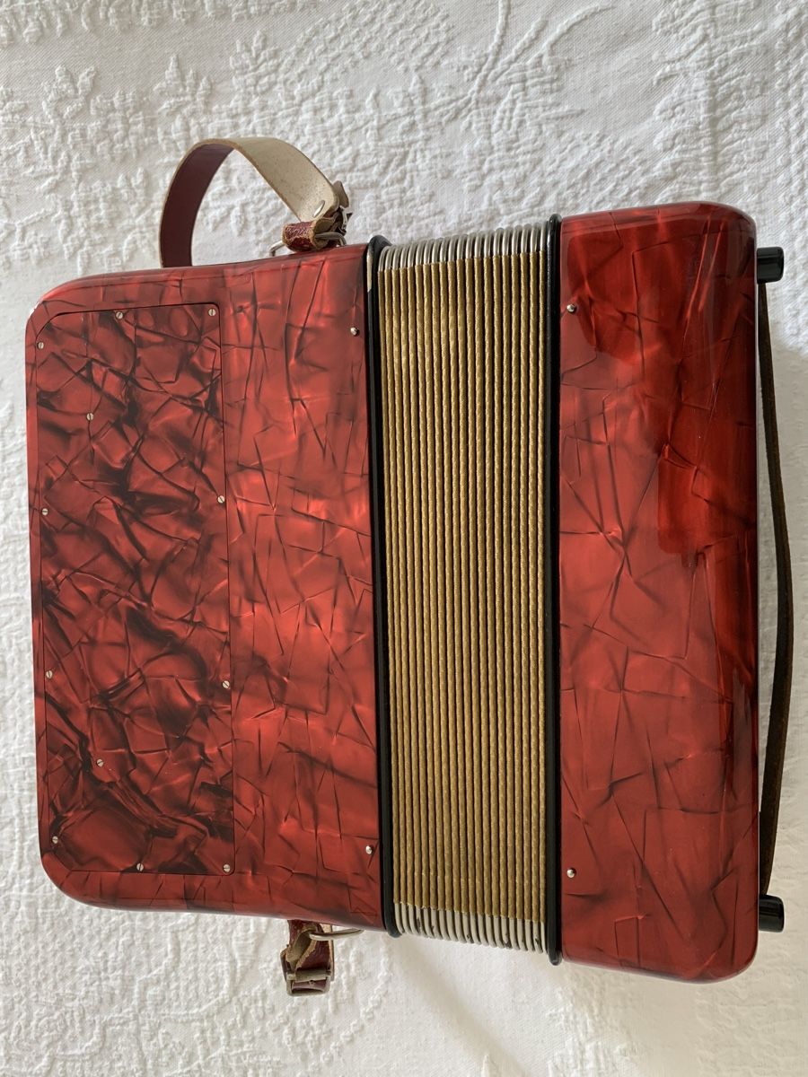 Hohner Strumenti musicali: Diatonische Handorgel Hohner – Usato da Zürich venduto da Olimpied 4