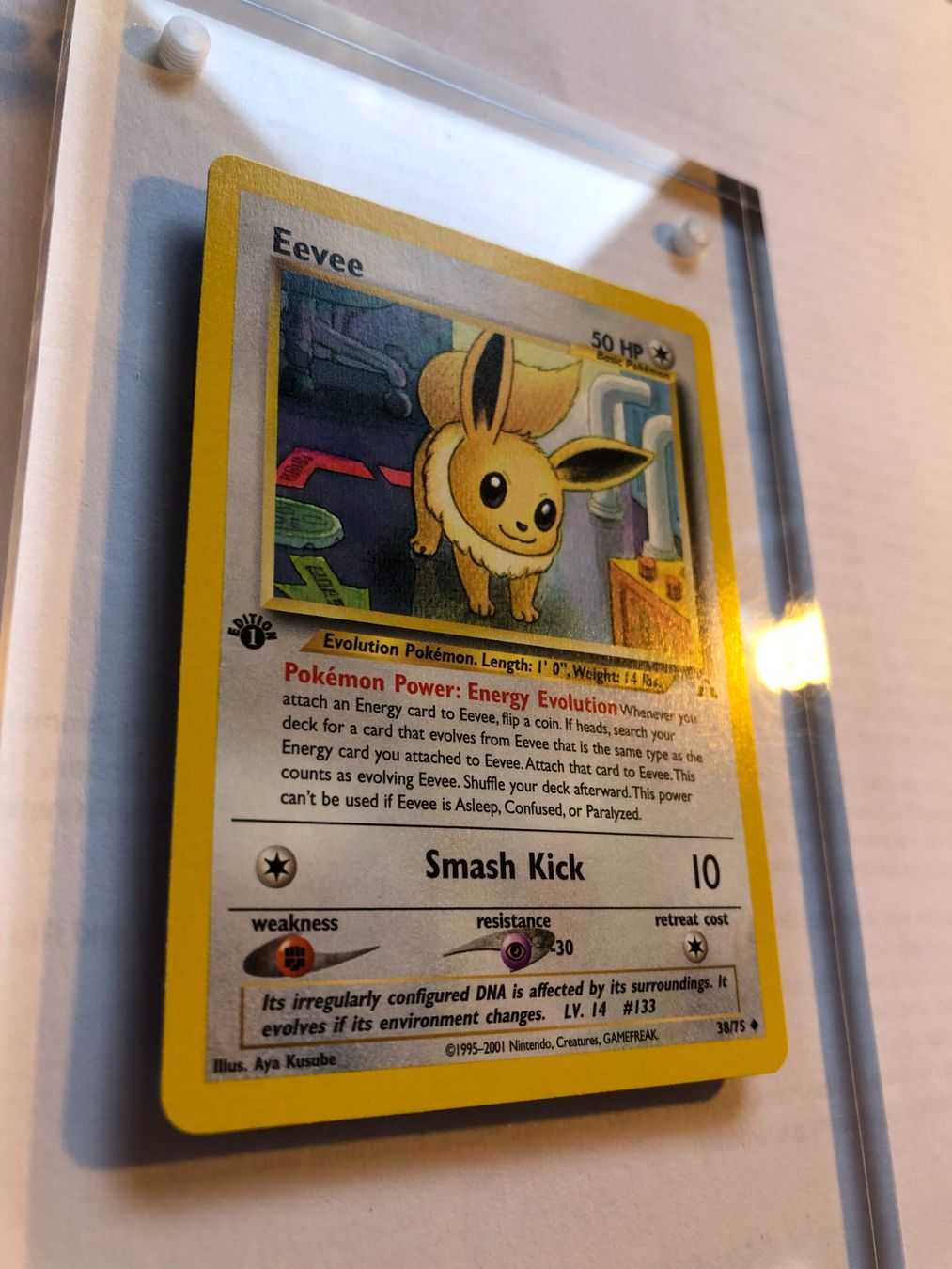 Carte collezionabili: Eevee 1st (uncommon) Neo Discovery - MINT - ab 1.- – Usato da Giubiasco venduto da dan_pr8b 1