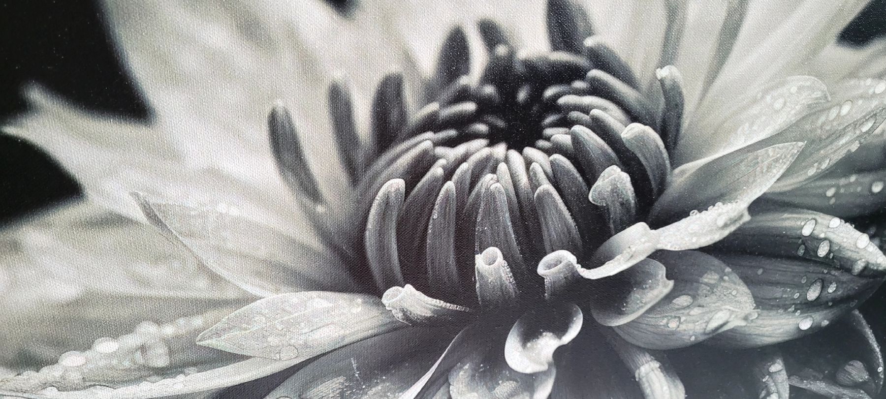 Foto & Immagini: Blumenbild 75x58cm – Nuovo e nell'imballaggio originale da Tann venduto da WSD 1