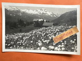1932 133 Oberalpina St. Moritz mit Piz Margna