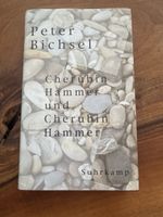 Buch Peter Bichsel Cherubin Hammer Suhrkamp 1. Auflage
