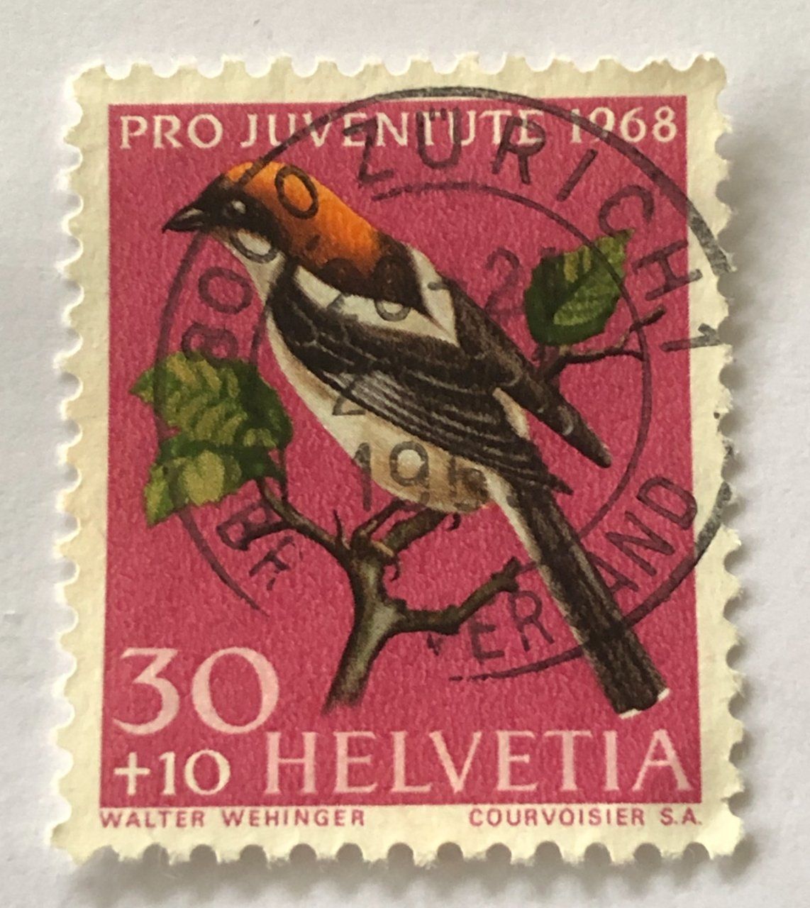 Tutti i francobolli: PRO JUVENTUTE  BRIEFMARKEN GESTEMPELT  – Usato da Aarau venduto da Billa007