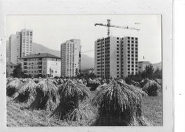 AG Wettingen 1964