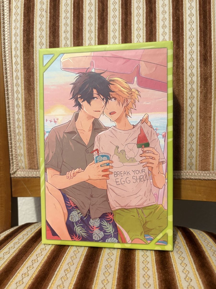 Hitorijime My Hero Manga Box Set Band 1 bis 6 neuwertig (Neu (gemäss ...