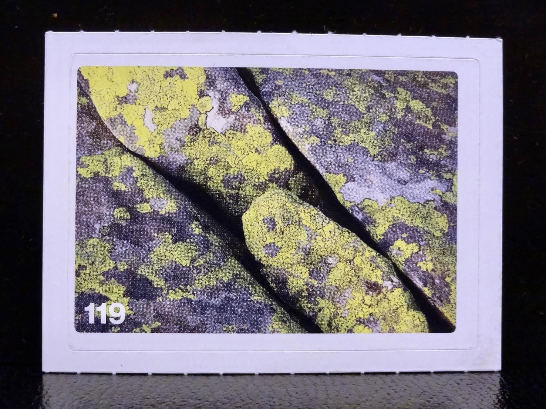 Migros Carte collezionabili: MIGROS MANIA Nature Detectives Nr. 119 – Nuovo e nell'imballaggio originale da Kerzers venduto da zimmergruen