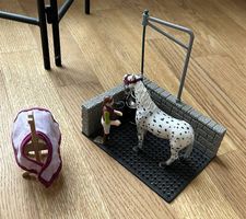 Putzplatz von Schleich mit Zubehör