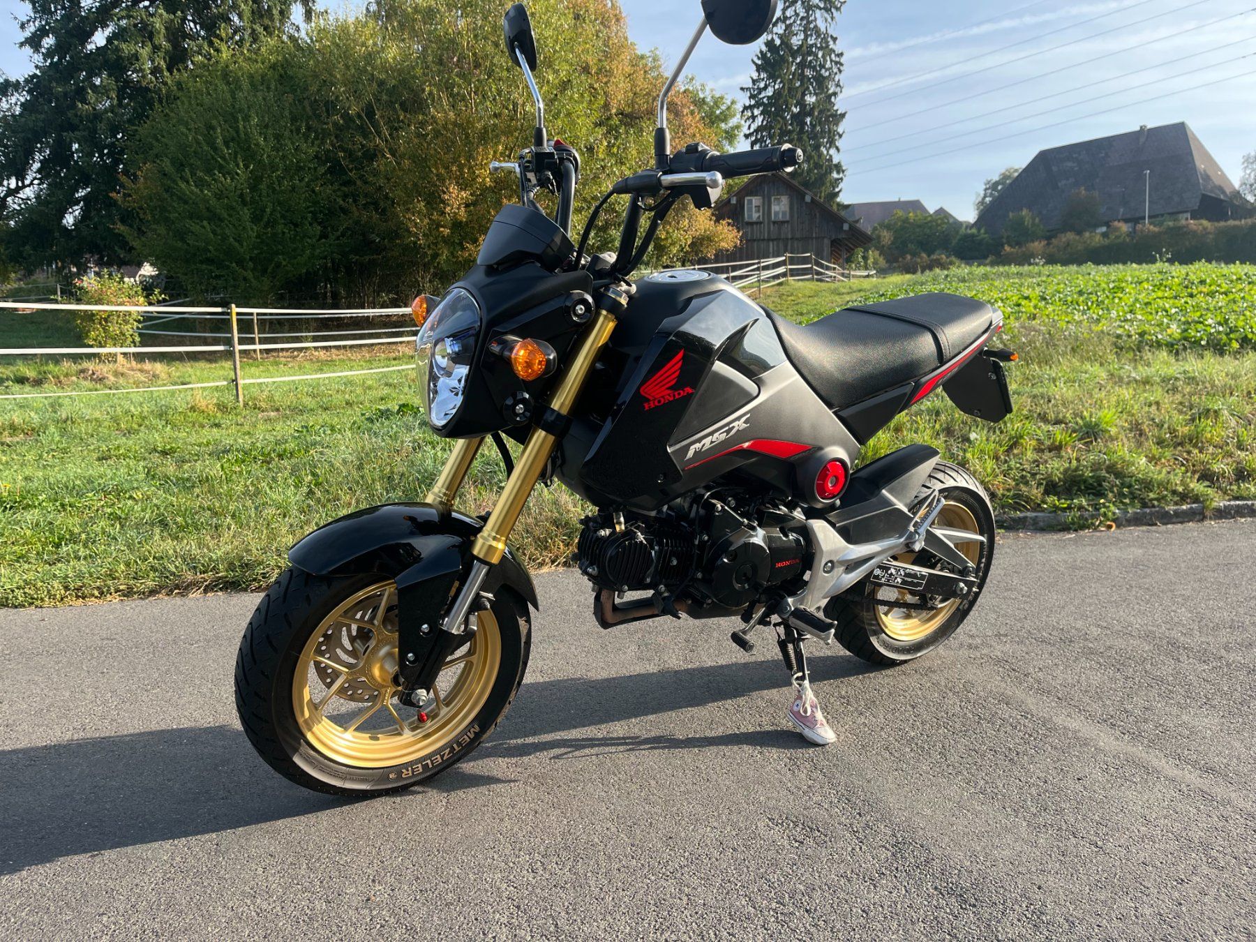 Honda Altro: Honda MSX 125 – Usato da Alchenstorf venduto da Lotti1987