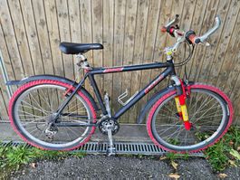 d.R.U.G Massaker Mountainbike * defekt * Bastler * Export