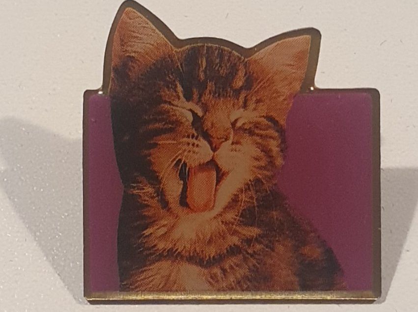 Plaketten & Abzeichen: Pin's Chat Whiscas – Gebraucht aus St-Barthélemy VD von titeuf5