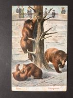 Postkarte Bern Bärengraben1906  (P160)