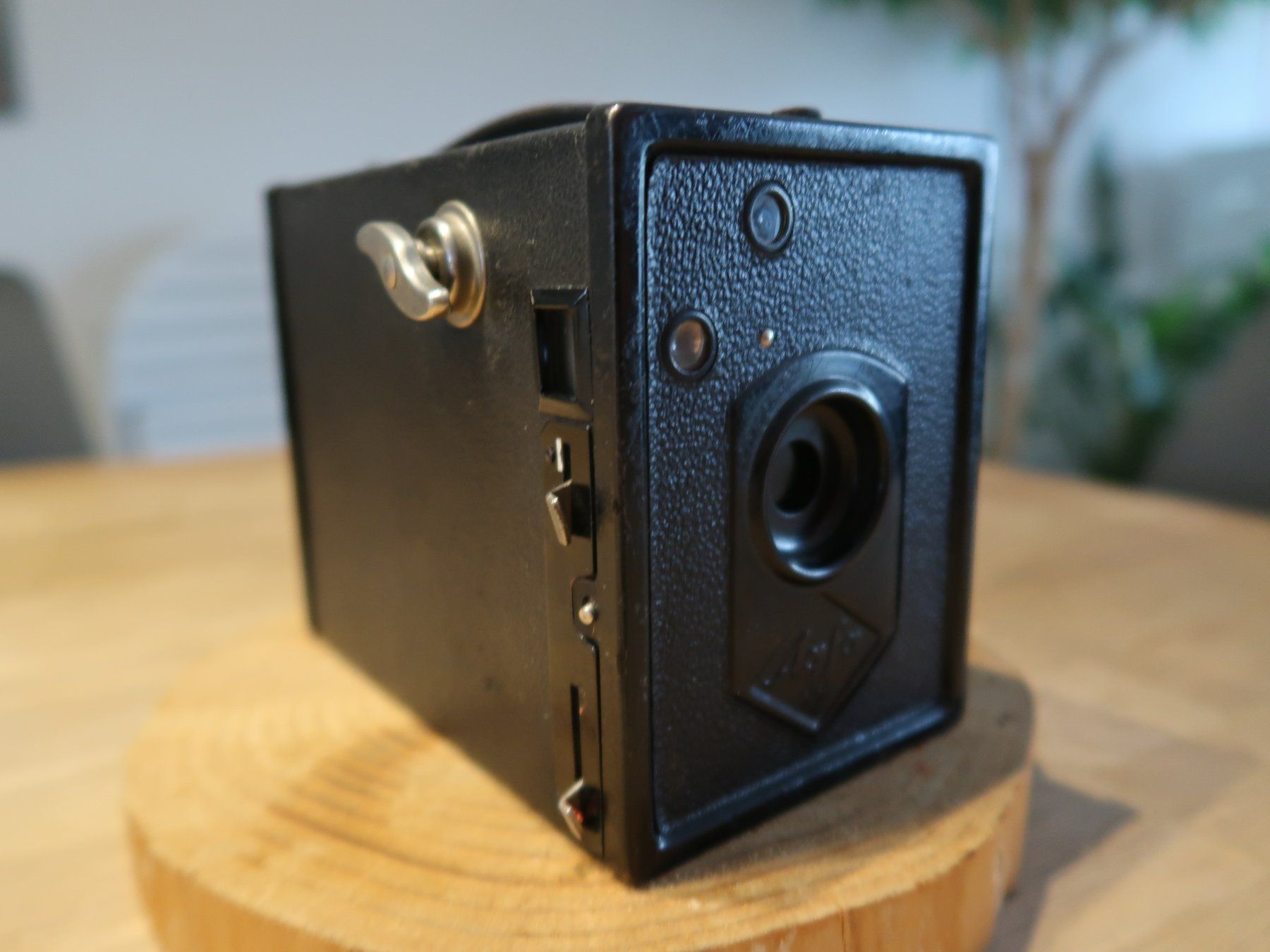 Agfa Fotocamera: Agfa Box camera 120mm Rollfilm – Usato da La Chaux-de-Fonds venduto da Criste