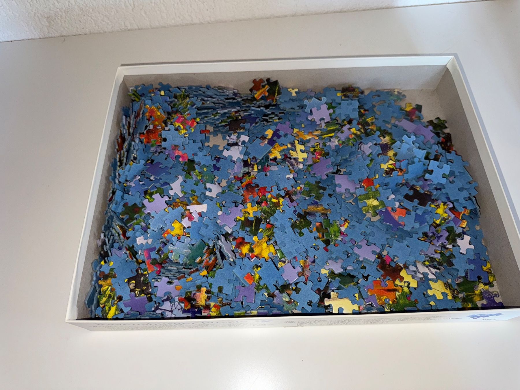 Ravensburger Puzzle: Ravensburger Puzzle 1000 Teile – Usato da Grosswangen venduto da Second_hand_paradise 1