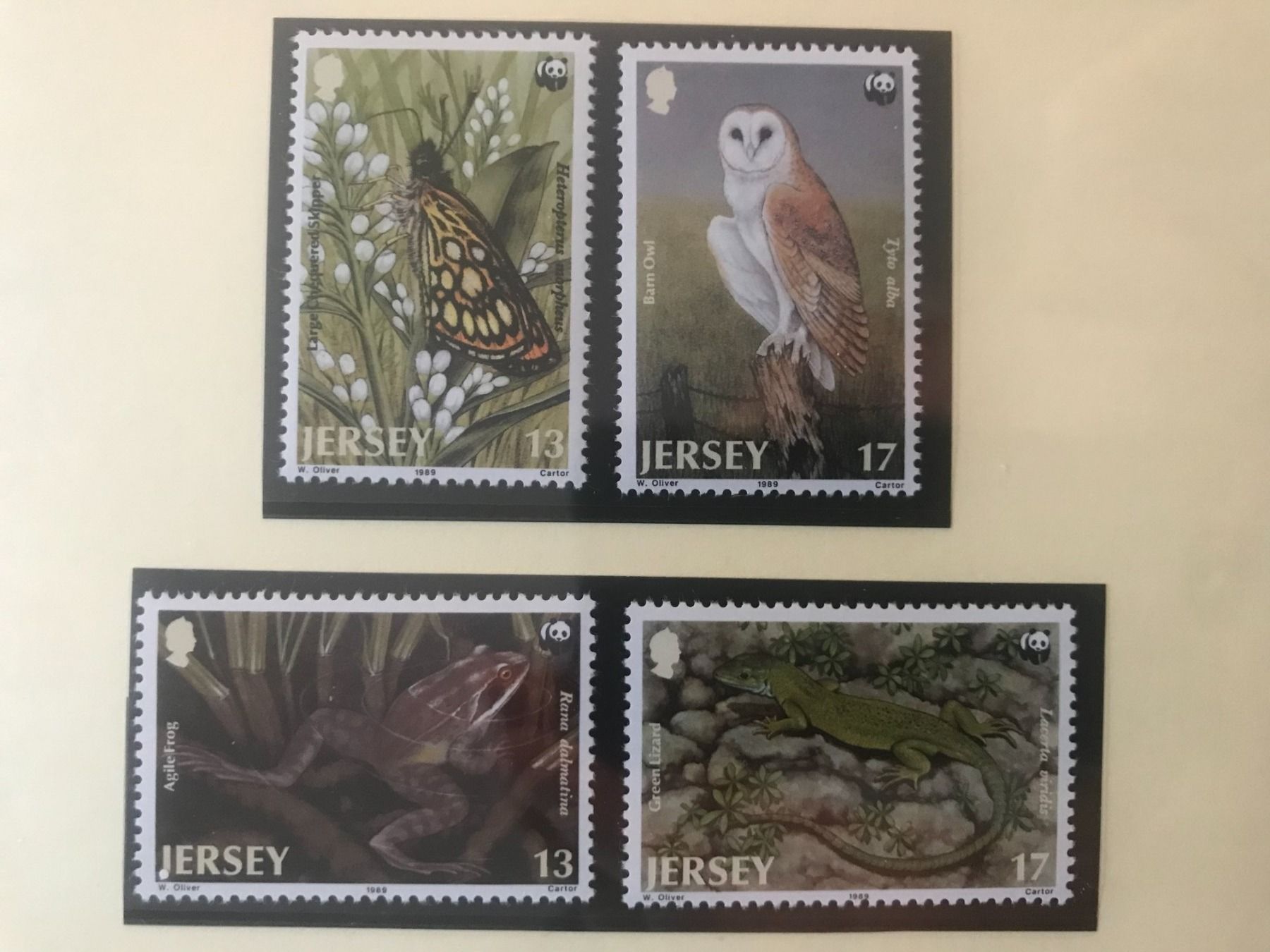 Tutti i francobolli: WWF Jersey 1989 Eule Frosch Salamander Satz postfrisch – Nuovo (secondo la descrizione) da Liestal venduto da schnueps