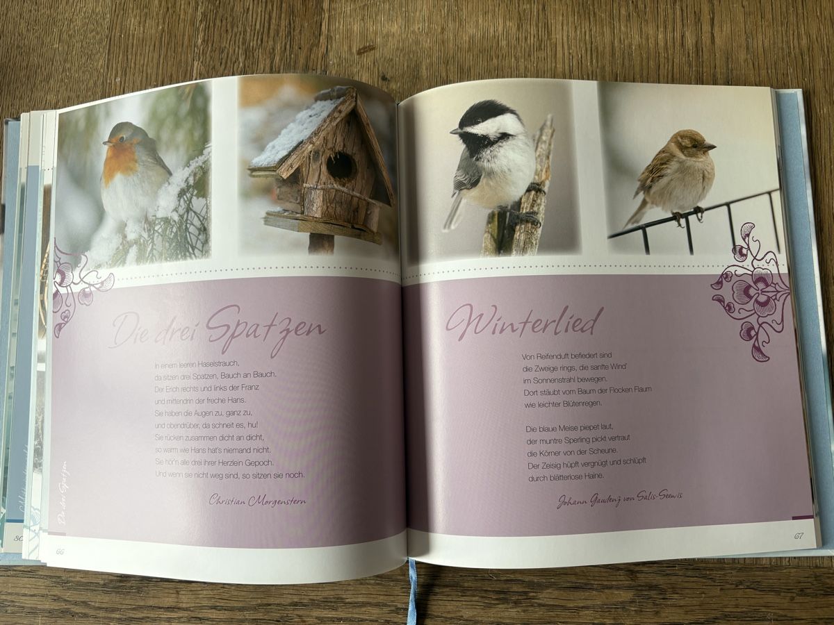Libri: Buch Wintergeschichten schön illustriert – Usato da Baden venduto da jdif 4