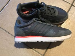 Adidas Sneaker Haven