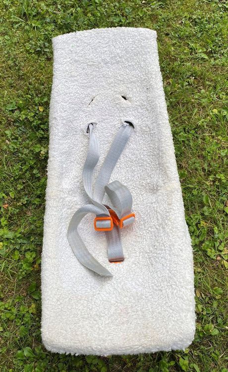 Fahrradanhnger Kinder Weber Babyschale Fr Fahrradanhnge In 5201  Seekirchen Am Wallersee Fr Weber Babyschale Erfahrungen