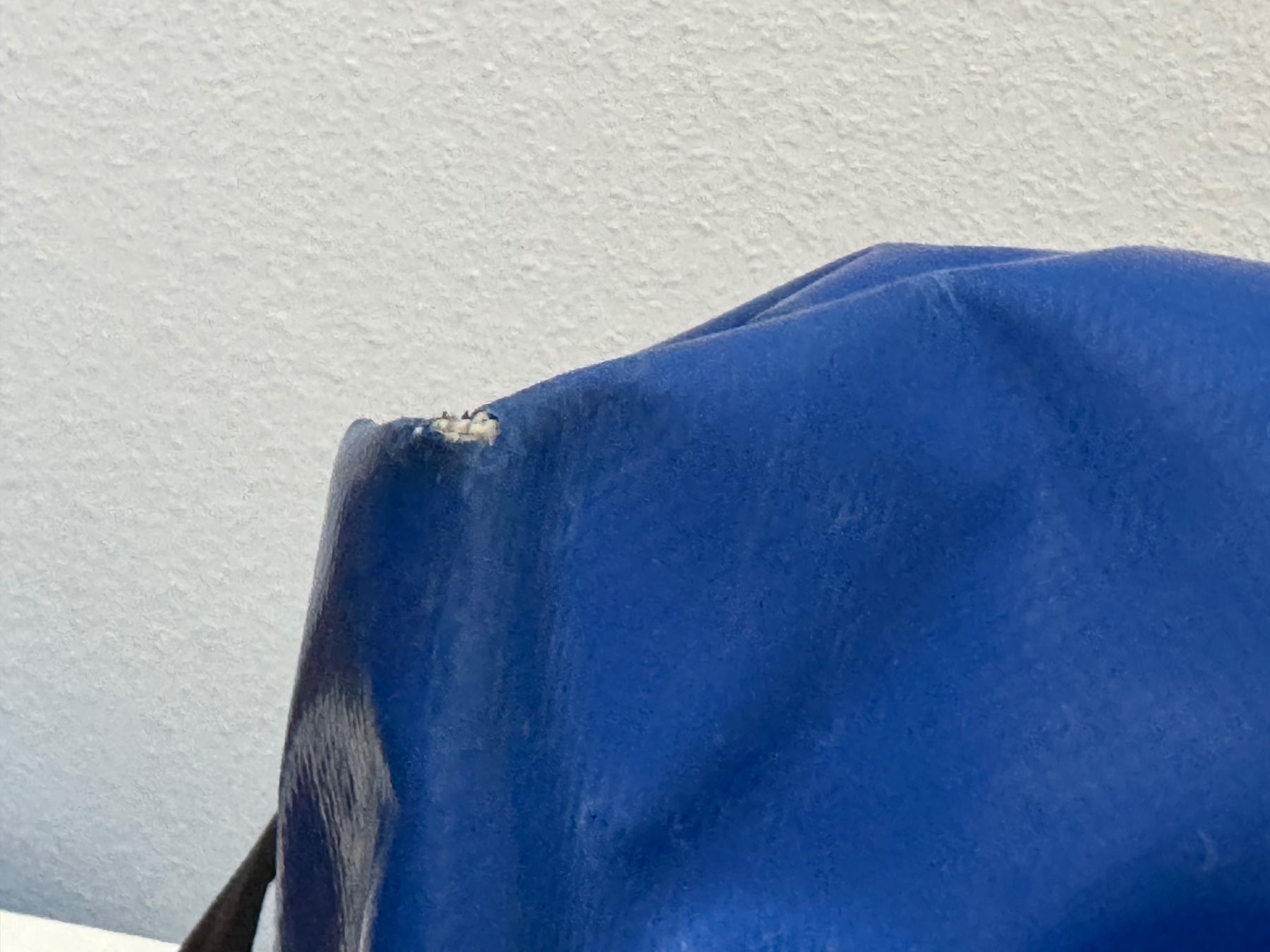 Freitag Borse da donna: Freitagtasche Sally – Usato da Möhlin venduto da Francine018 2