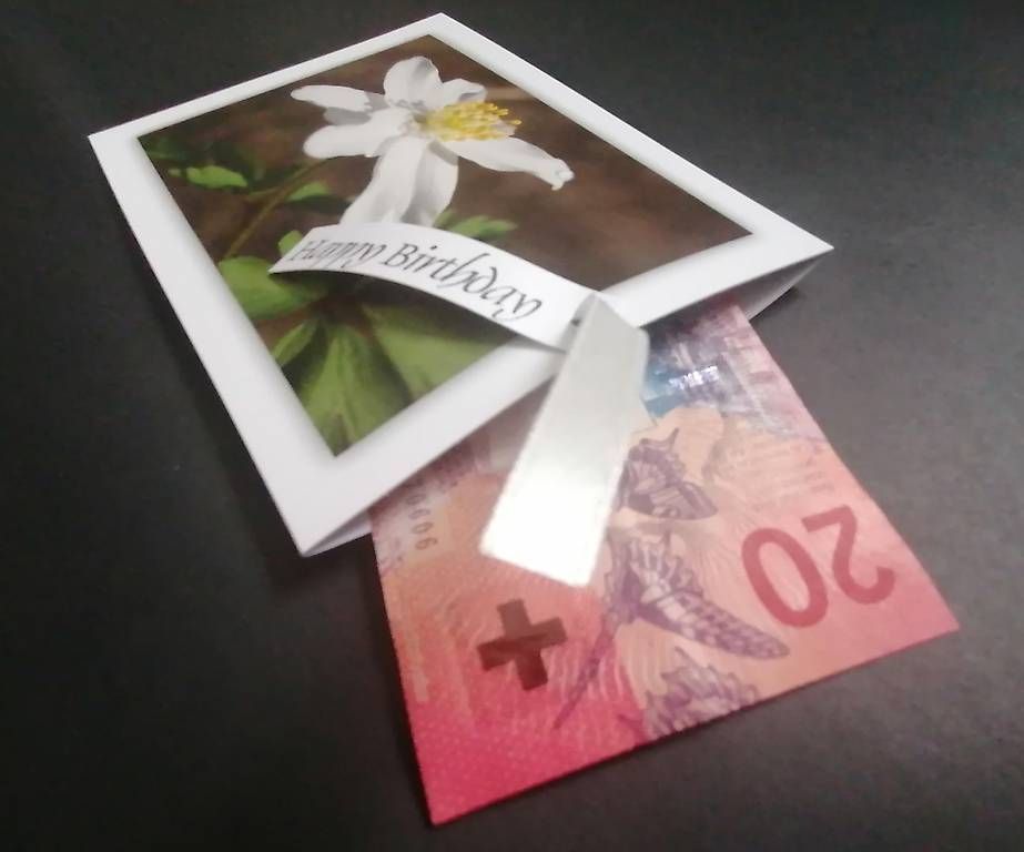 Piante & sementi: Decoje Postkartenbeutel für Geldgeschenke – Usato da Wetzikon ZH venduto da jeg_lwc9 2