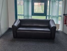Designer Sofa De Sede DS 47