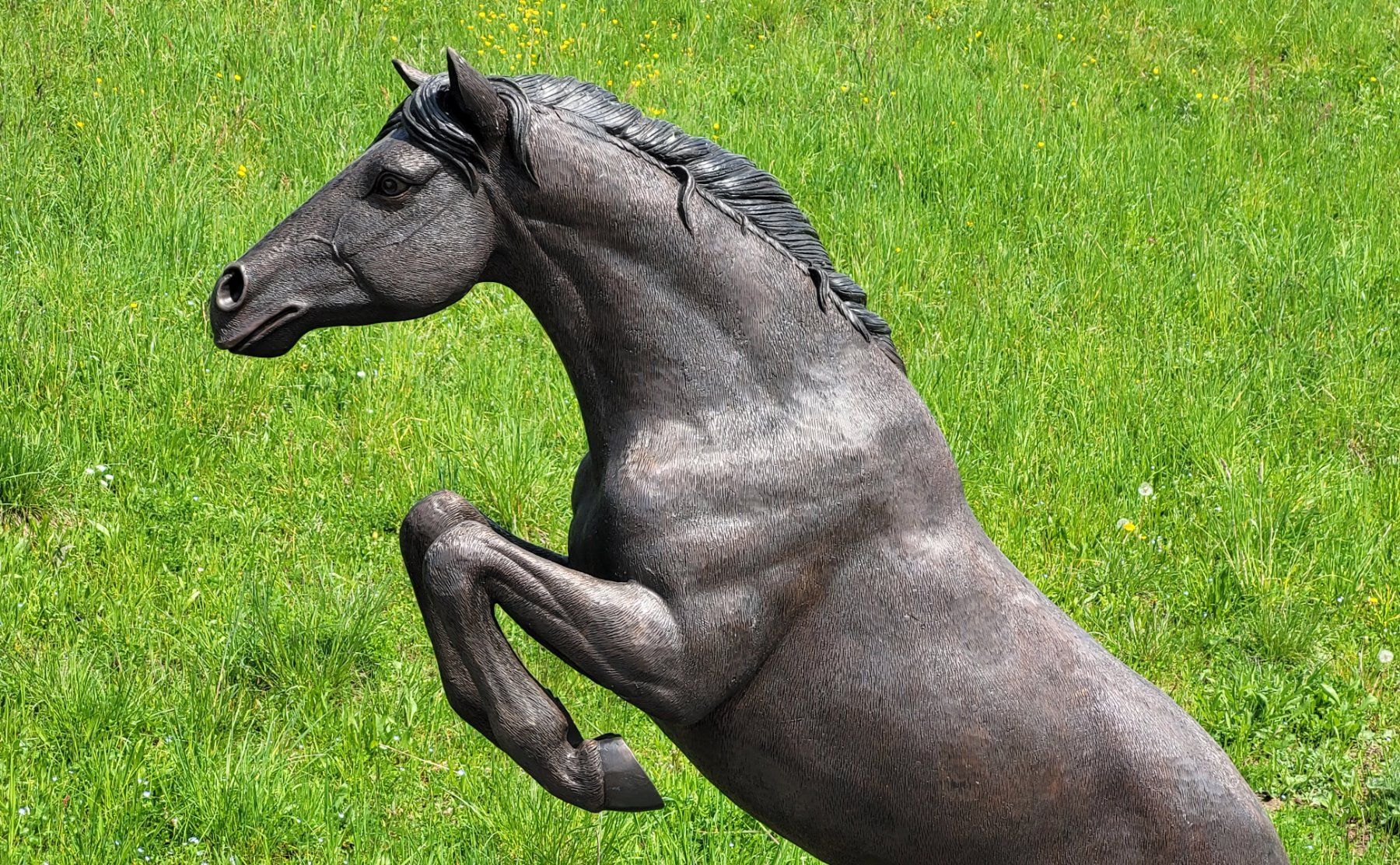 Skulpturen & Statuen: Bronzeskulptur 'Springendes Pferd' – Neu (gemäss Beschreibung) aus Stäfa von Satinoir 6