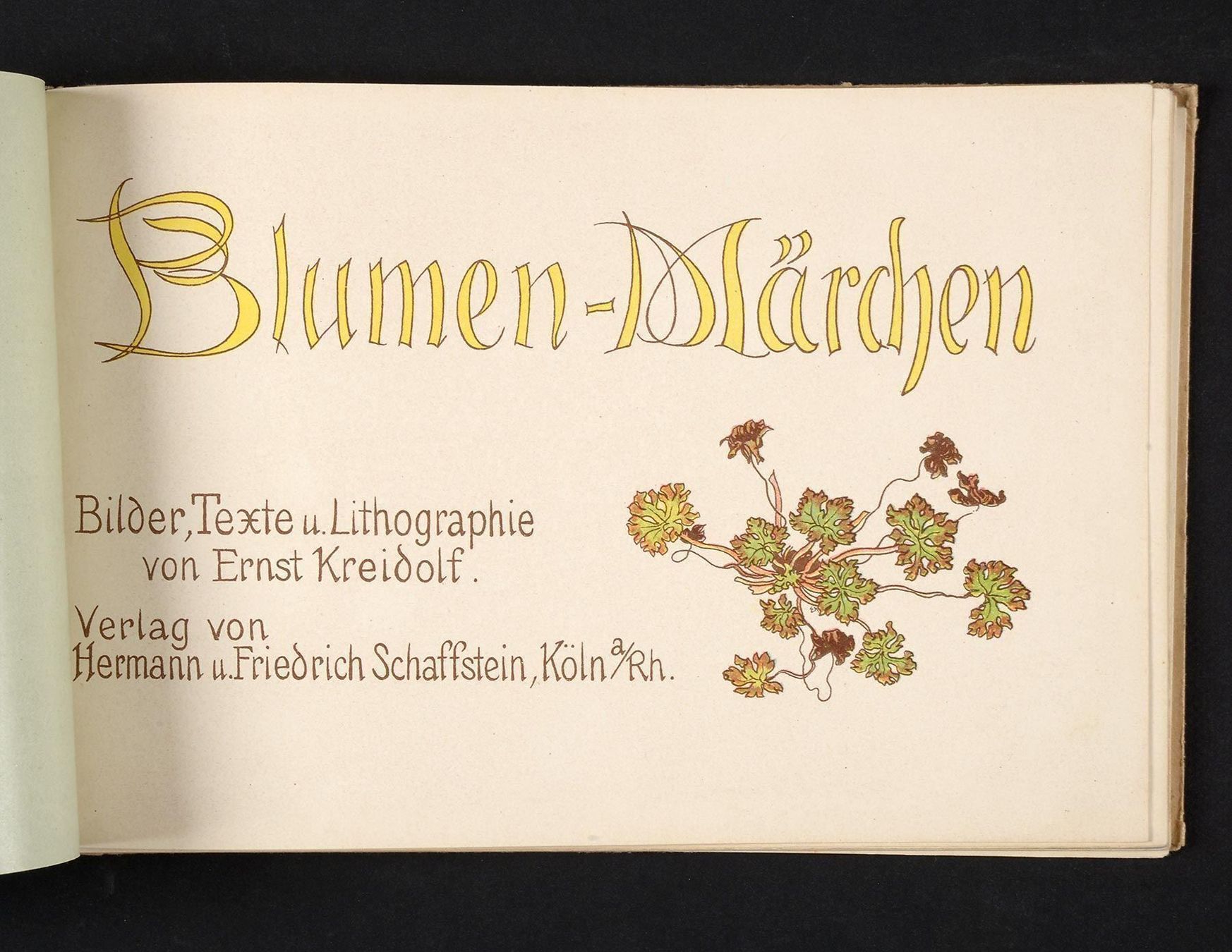 Bücher: Kinderbuch: Kreidolf Blumen-Märchen mit Lithos, 1925 – Gebraucht aus Bern von chamunda 2