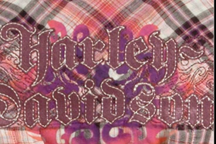 T-shirt: Harley-Davidson Langarm Shirt Damen – Usato da Solothurn venduto da Deinze 2