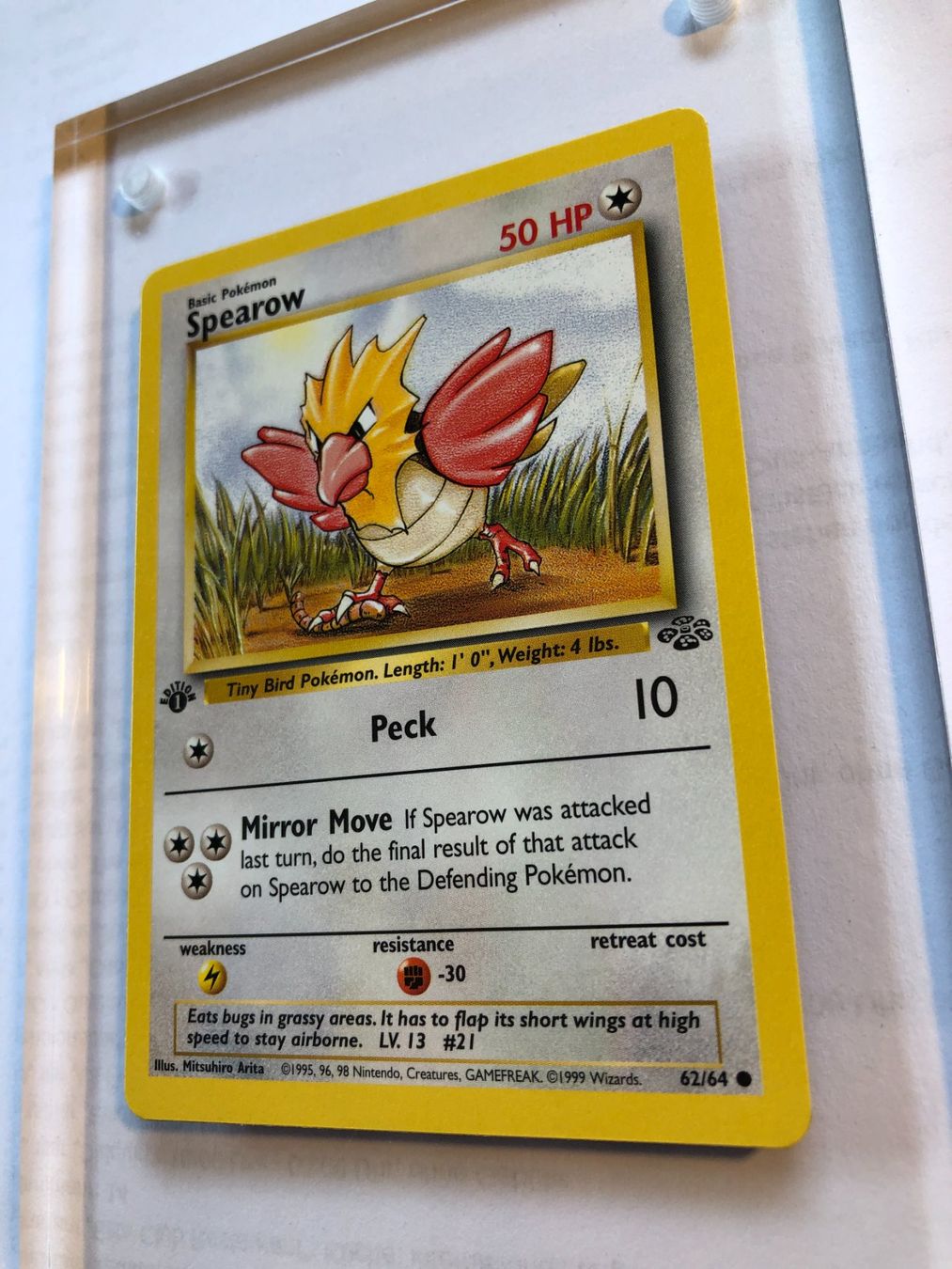 Carte collezionabili: Spearow 1st Jungle - MINT - ab 1.- – Usato da Giubiasco venduto da dan_pr8b 2