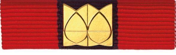 Schweizer Armee Placchette & Badge: Ribbon Militärsport – Nuovo (secondo la descrizione) da Koblenz venduto da Himmelsreiter
