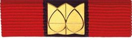 Ribbon Militärsport